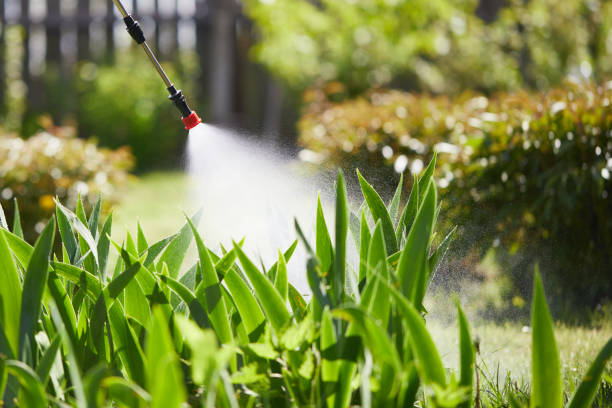 Tamper-Resistant Bait Stations for Rodents in Allardt