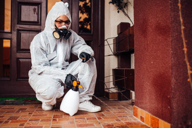 Attic and Crawl Space Rodent Treatment in Allardt