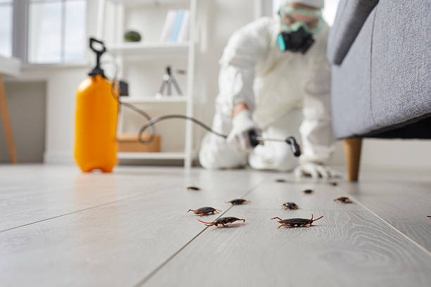Commercial Rodent Management in Allardt